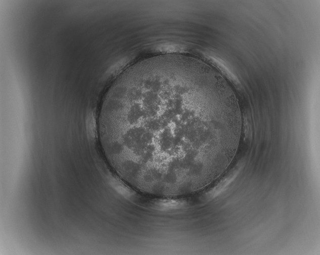 X0000110890453200906251321