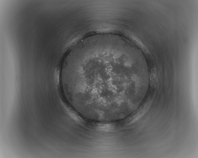 X0000110890454200906251321