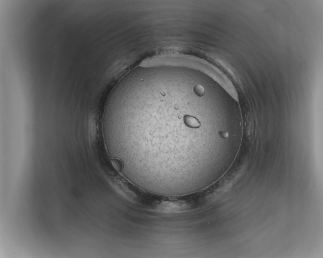 X0000110890455200906251321