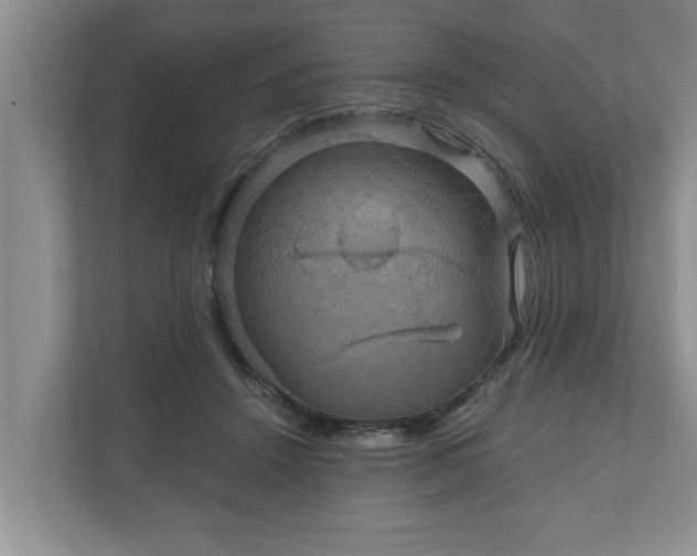 X0000110890456200906251321