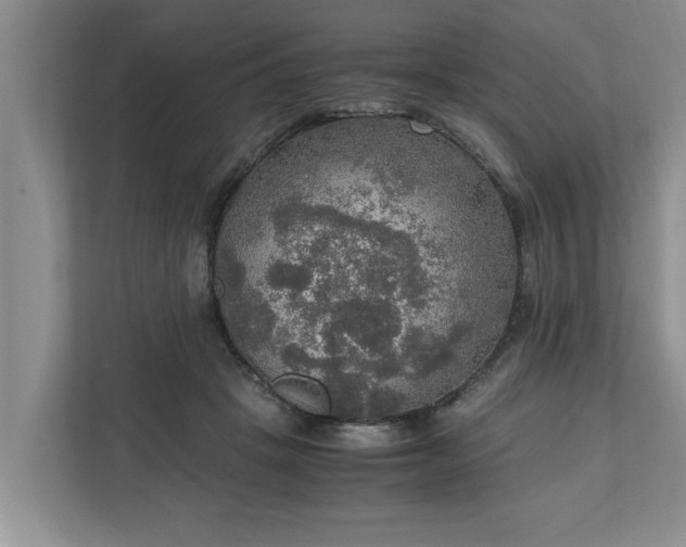 X0000110890457200906251321