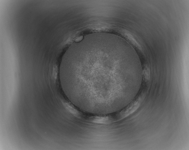 X0000110890458200906251321