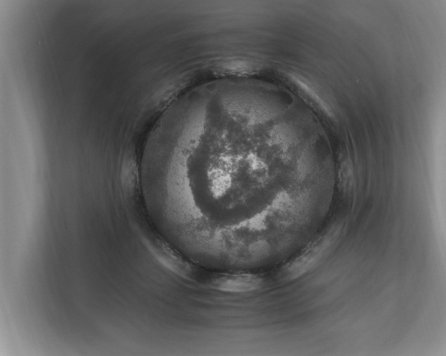 X0000110890459200906251321