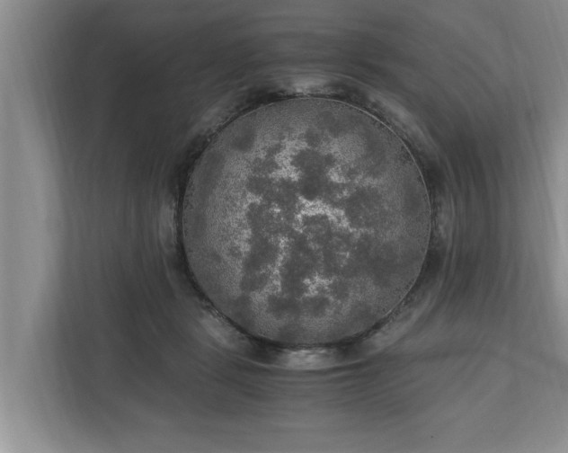 X0000110890461200906251321