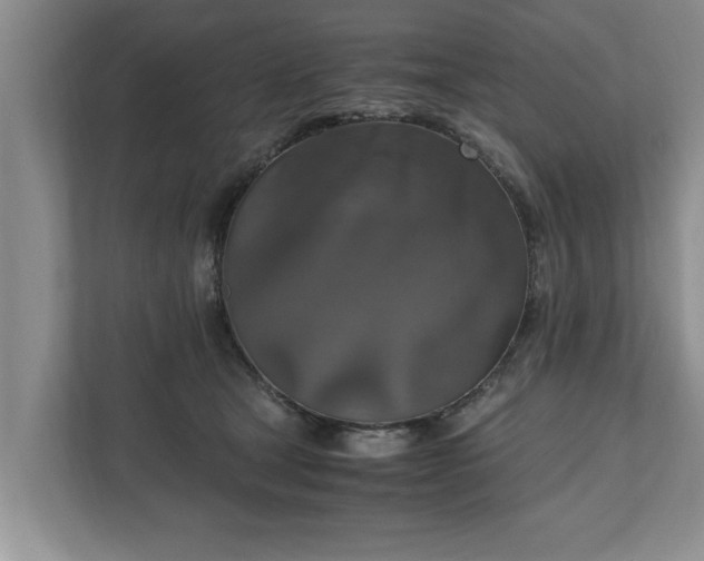 X0000110890465200906251321