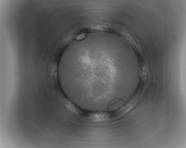X0000110890466200906251321