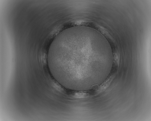 X0000110890470200906251321