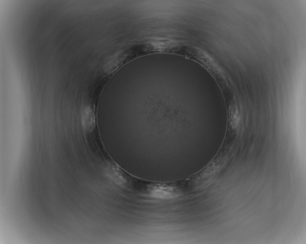 X0000110890471200906251321