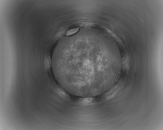 X0000110890474200906251321