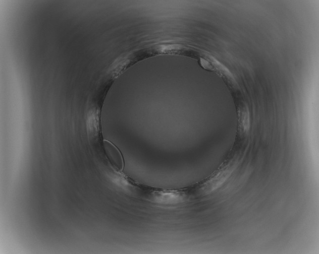 X0000110890475200906251321