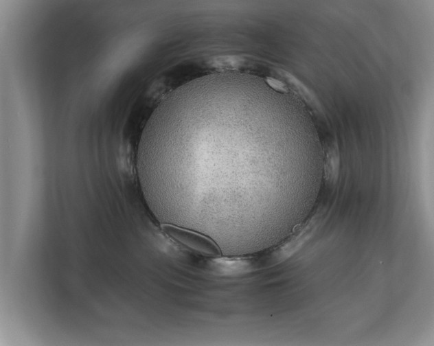 X0000110890477200906251321