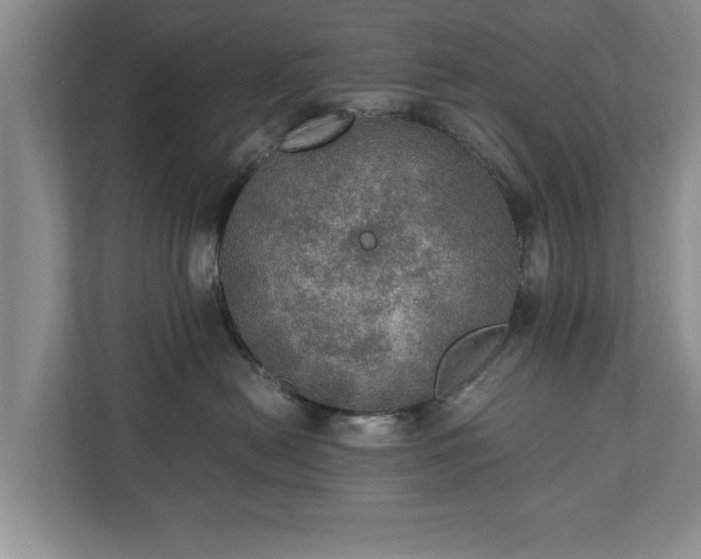 X0000110890478200906251321