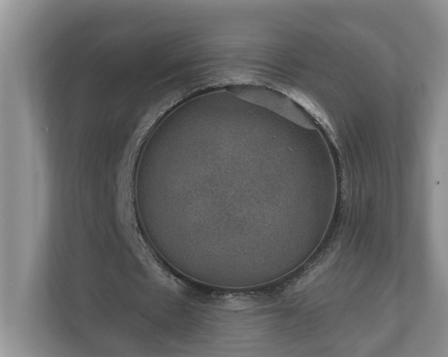 X0000110890481200906251320