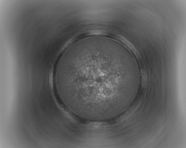 X0000110890482200906251320