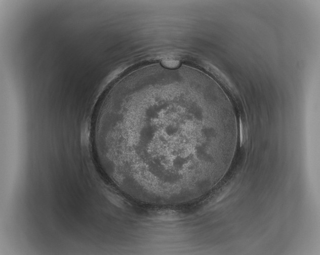 X0000110890483200906251320