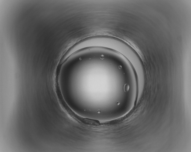 X0000110890485200906251320