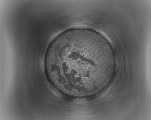 X0000110890487200906251320