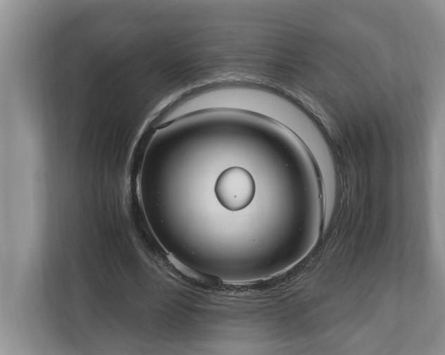 X0000110890488200906251320