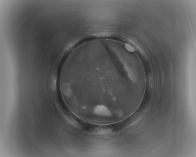 X0000110890491200906251320