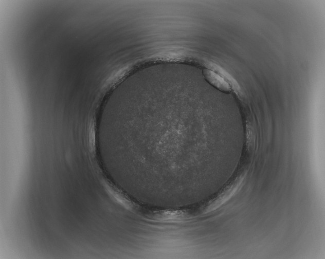 X0000110890493200906251320