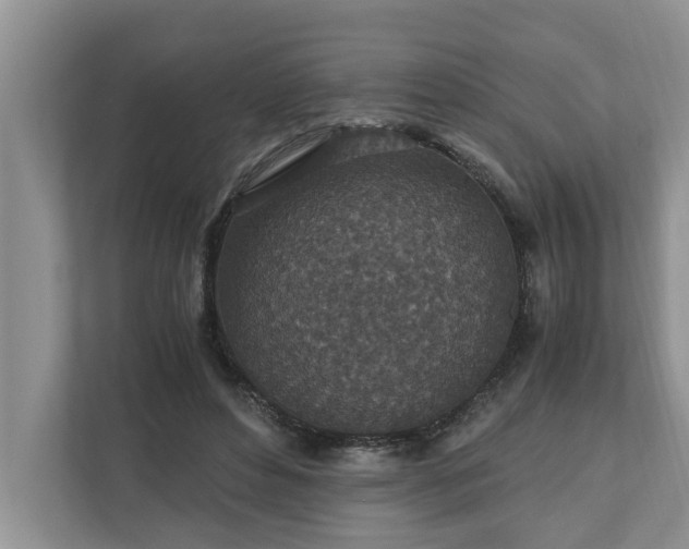 X0000110890496200906251320