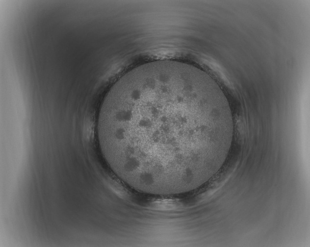X0000110890499200906251320