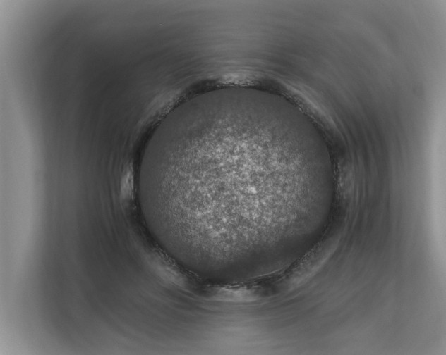 X0000110890502200906251320