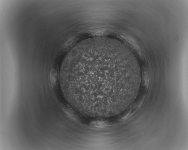 X0000110890503200906251320