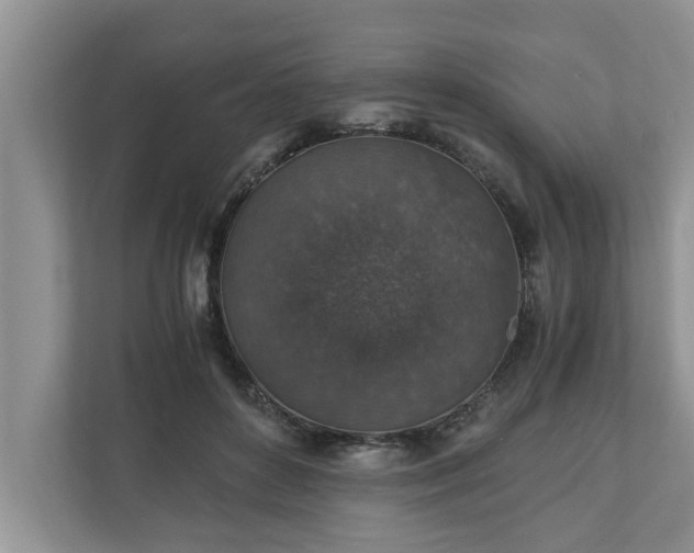 X0000110890504200906251320