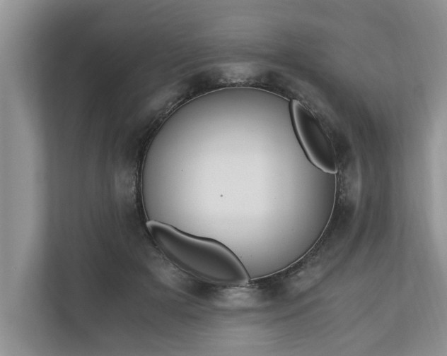X0000110890505200906251320