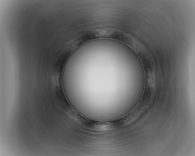 X0000110890514200906251320