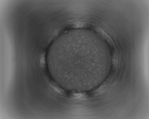 X0000110890516200906251320