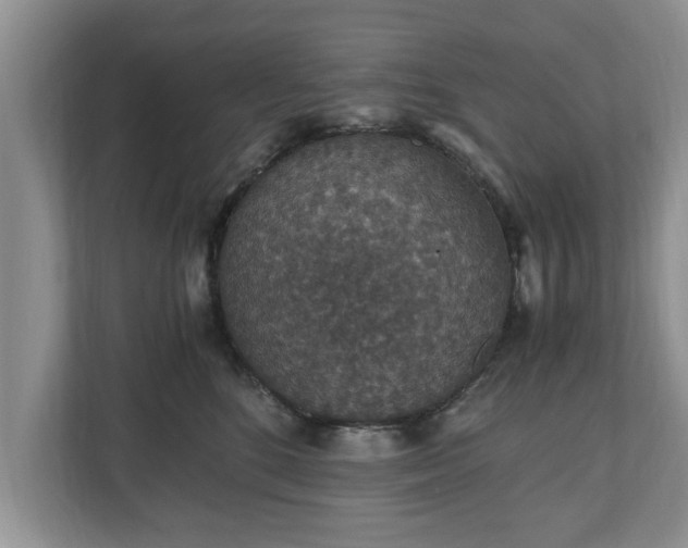 X0000110890520200906251320
