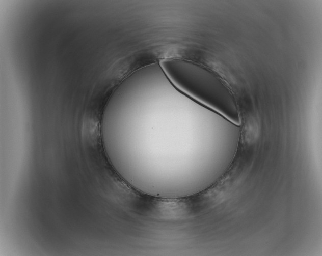 X0000110890521200906251320