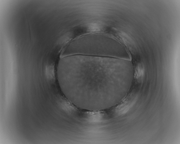 X0000110890524200906251320