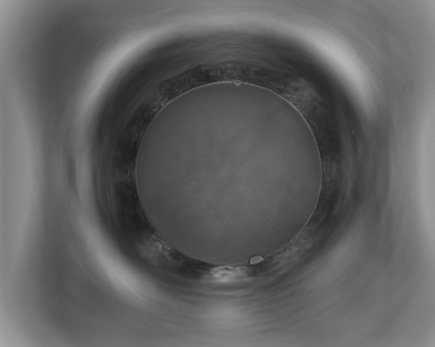 X0000110890526200906251320