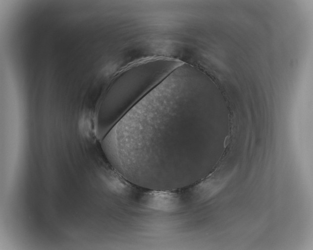 X0000110890528200906251320