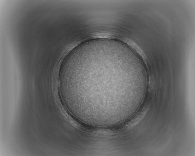 X0000110890529200906251319