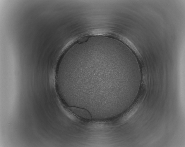 X0000110890530200906251319