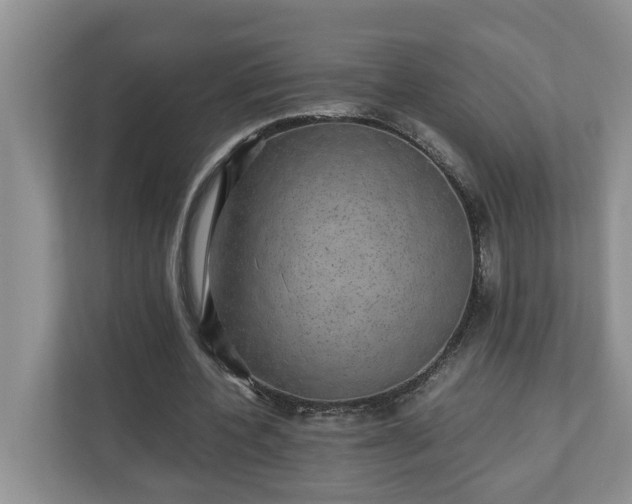 X0000110890532200906251319