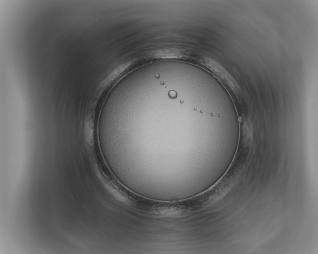 X0000110890533200906251319