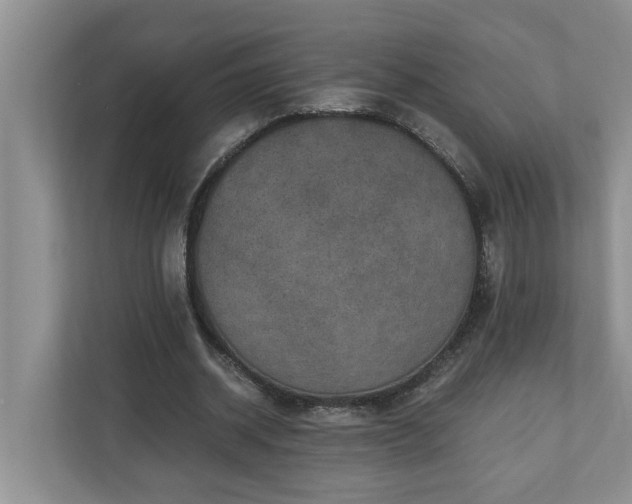X0000110890534200906251319