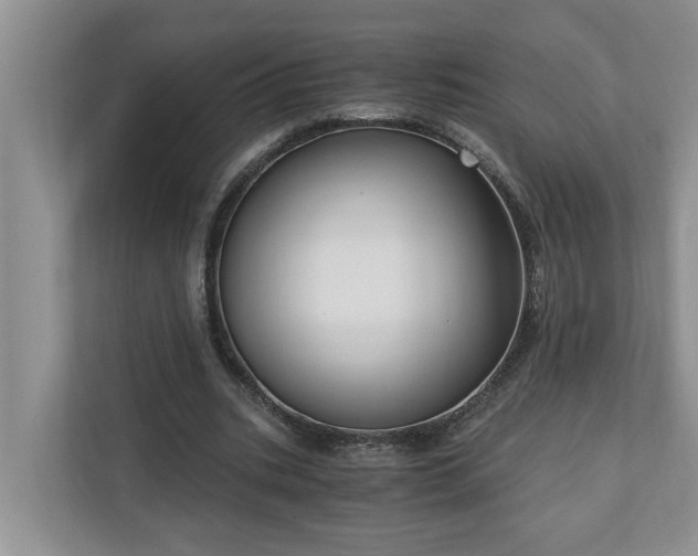 X0000110890535200906251319