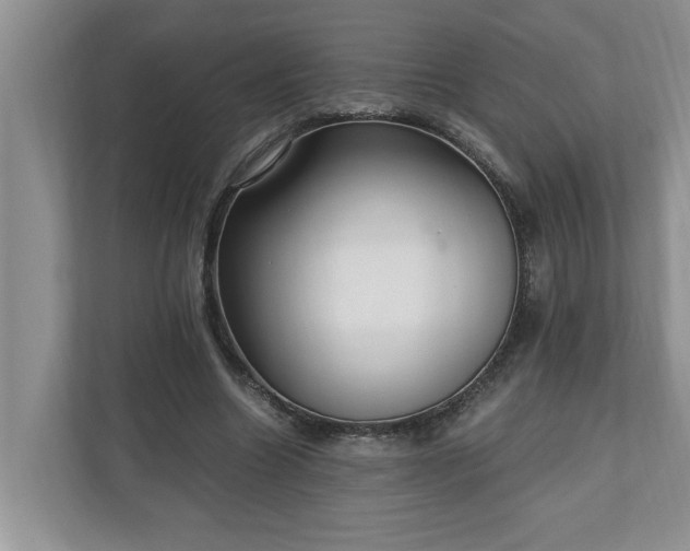 X0000110890538200906251319