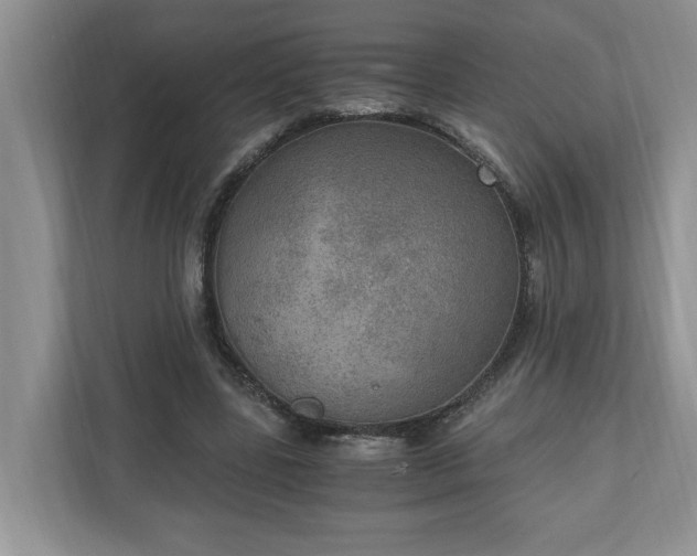 X0000110890539200906251319