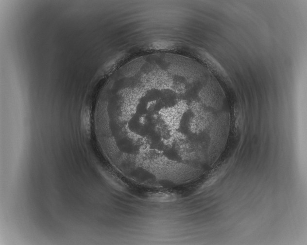 X0000110890542200906251319
