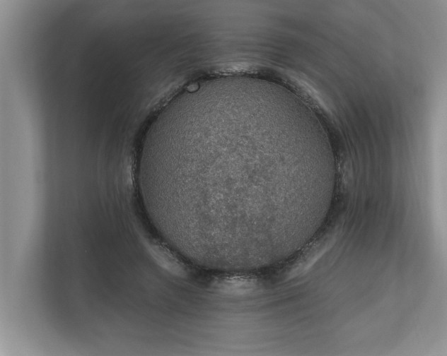 X0000110890546200906251319
