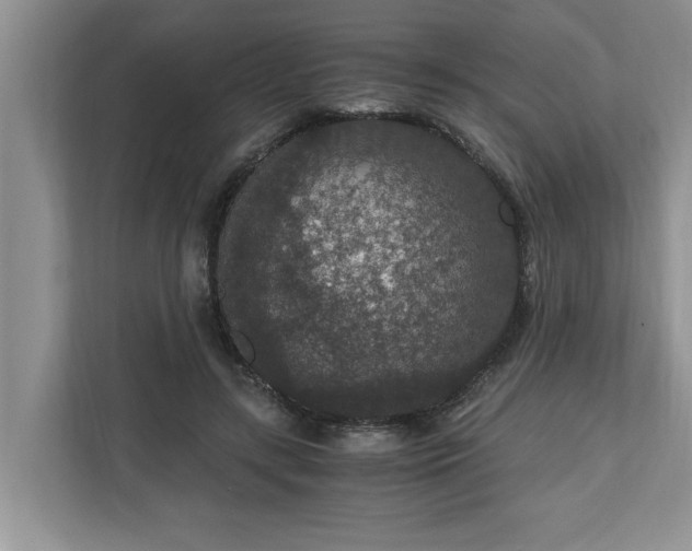 X0000110890547200906251319