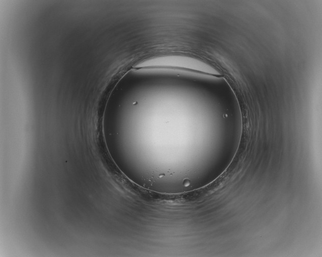 X0000110890548200906251319