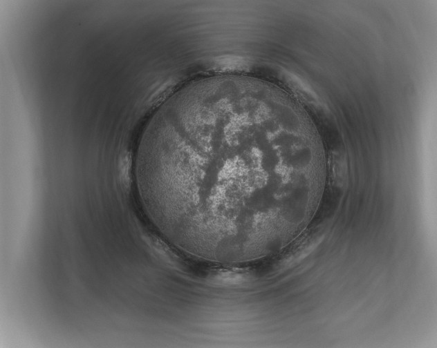 X0000110890550200906251319